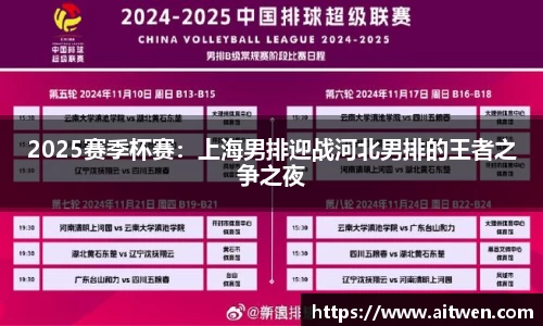 2025赛季杯赛：上海男排迎战河北男排的王者之争之夜